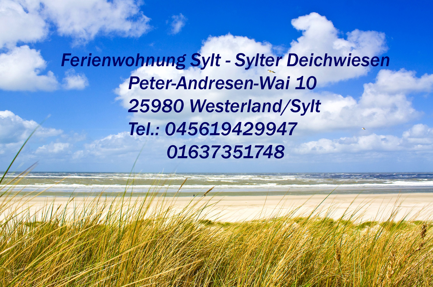 Bild 2 Ferienwohnung auf Sylt Sylter Deichwiesen in Sylt
