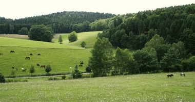 Fenwick Farm GbR Nicola Fenwick-Smith in Erbach im Odenwald