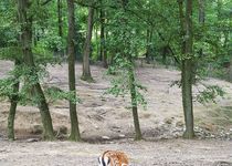 Bild zu Tierpark Fauna e.V.