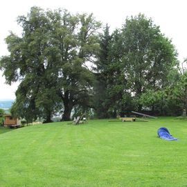 Hundepension Zaubermöndli in Murg