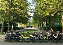 Bild zu Lesecafé Stadtpark Hamburg