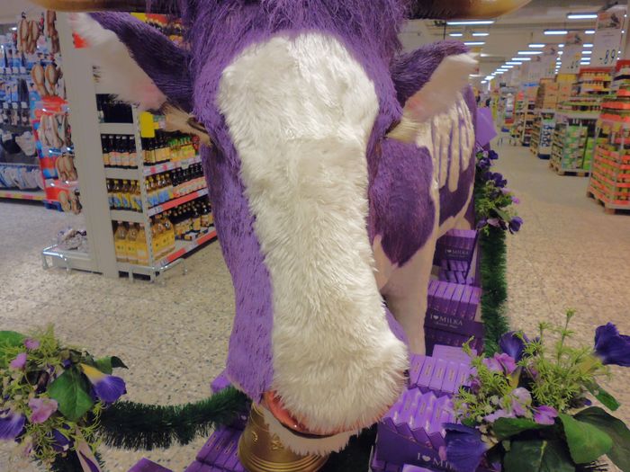 Nutzerbilder Kaufland