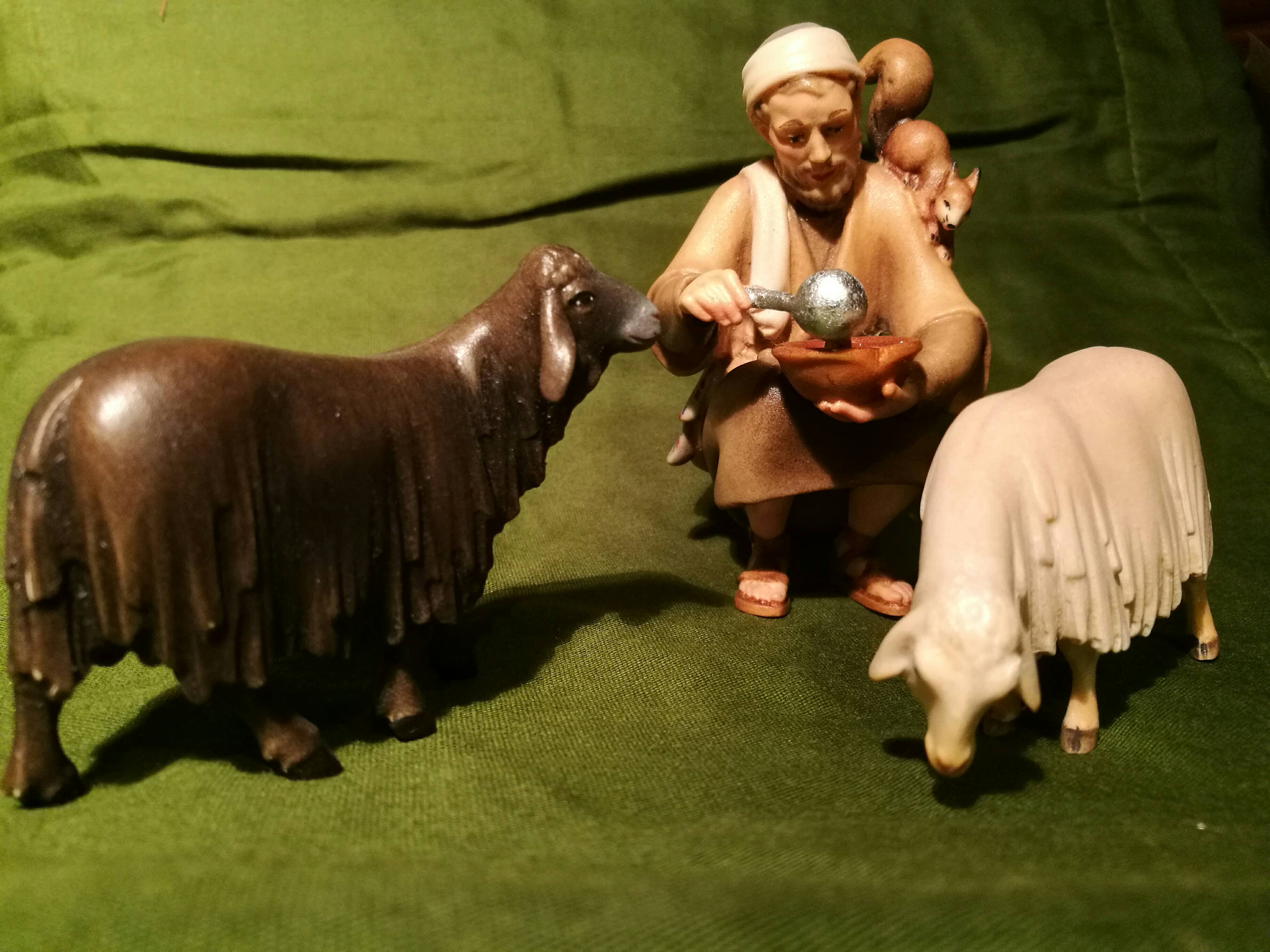 Hirte und “schwarzes“ Schaf