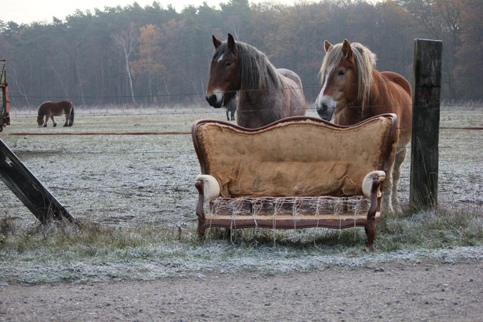 Susan Jaeger Polsterei Hannover antikes Sofa an Pferdekoppel