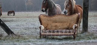 Bild zu Polsterei Jäger