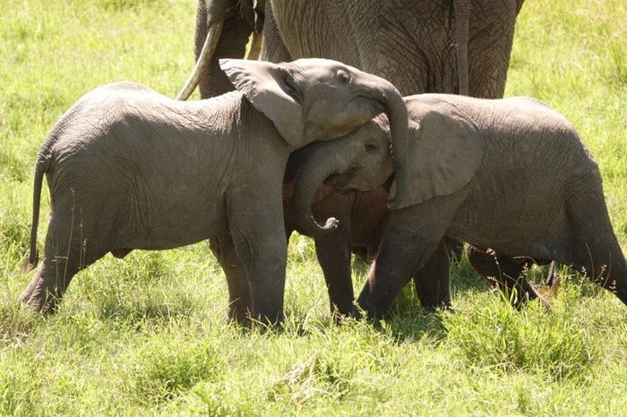 Nutzerbilder Safari-Tours