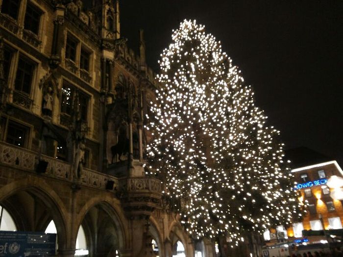 Nutzerbilder Bistro Cafe Restaurant am Marienplatz