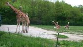 Nutzerbilder Tierpark Berlin-Friedrichsfelde GmbH