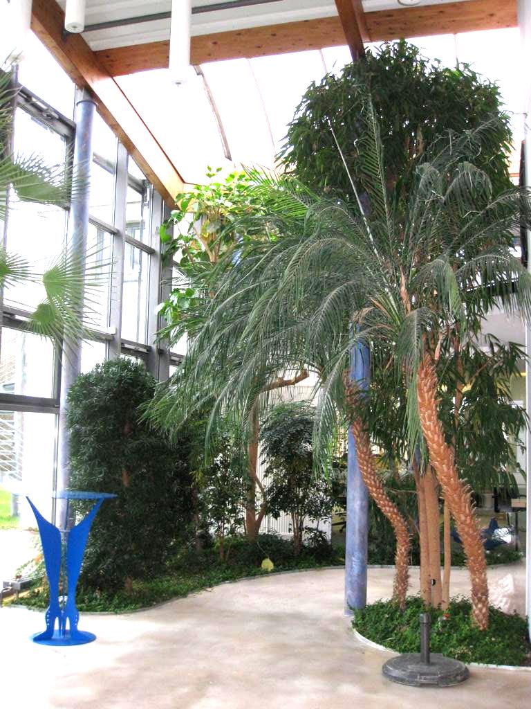 Palmengarten im Haus des Handwerks bei der Kreishandwerkerschaft Tübingen