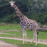 Zoo Leipzig in Leipzig