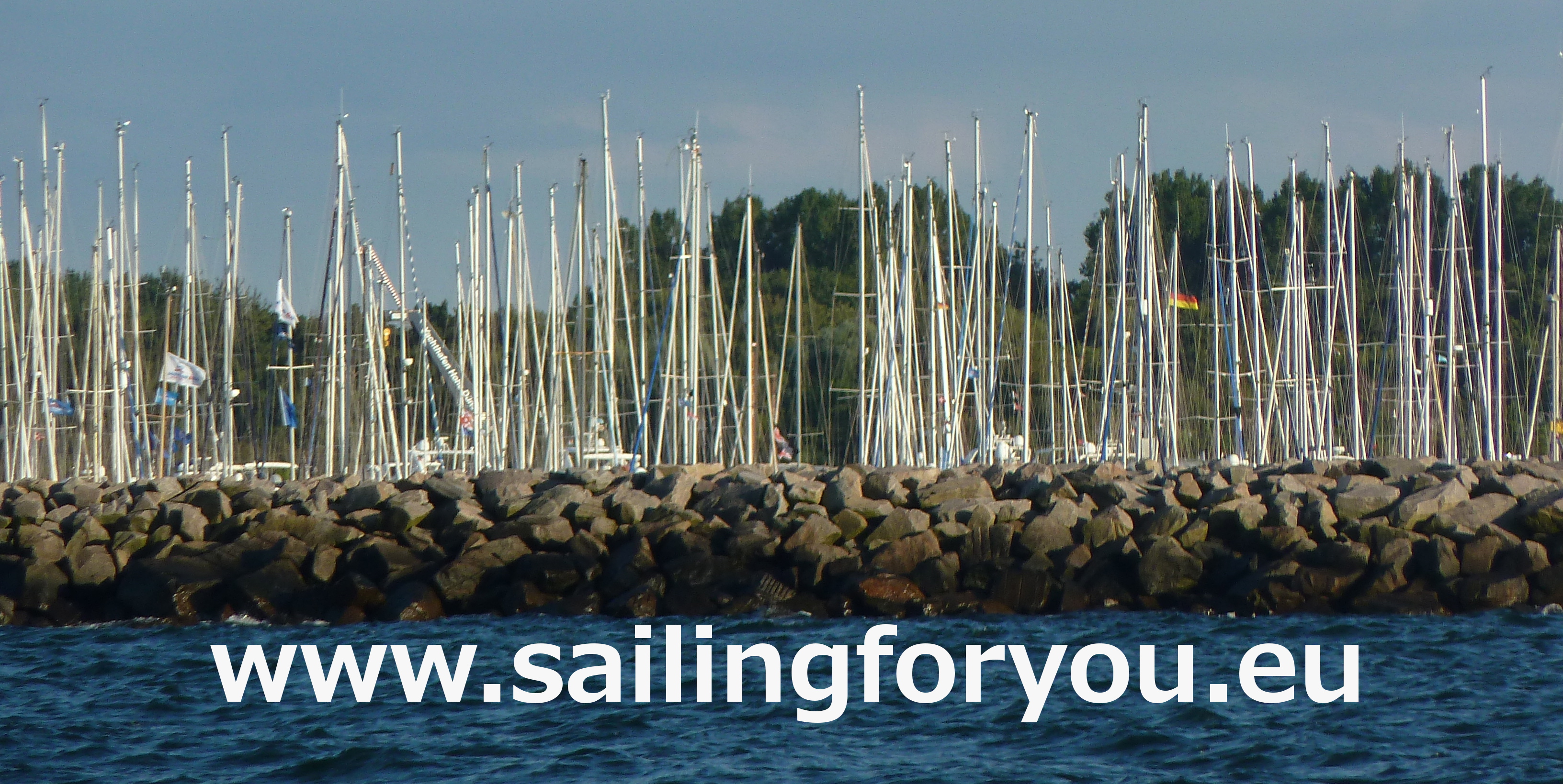 Bild 1 sailingforyou in Niendorf