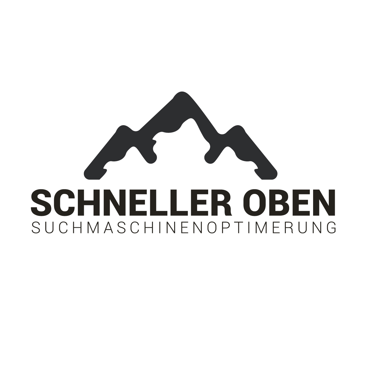 Bild 1 Schneller Oben - SEO Agentur in Pulheim