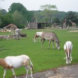 Zoo Leipzig in Leipzig