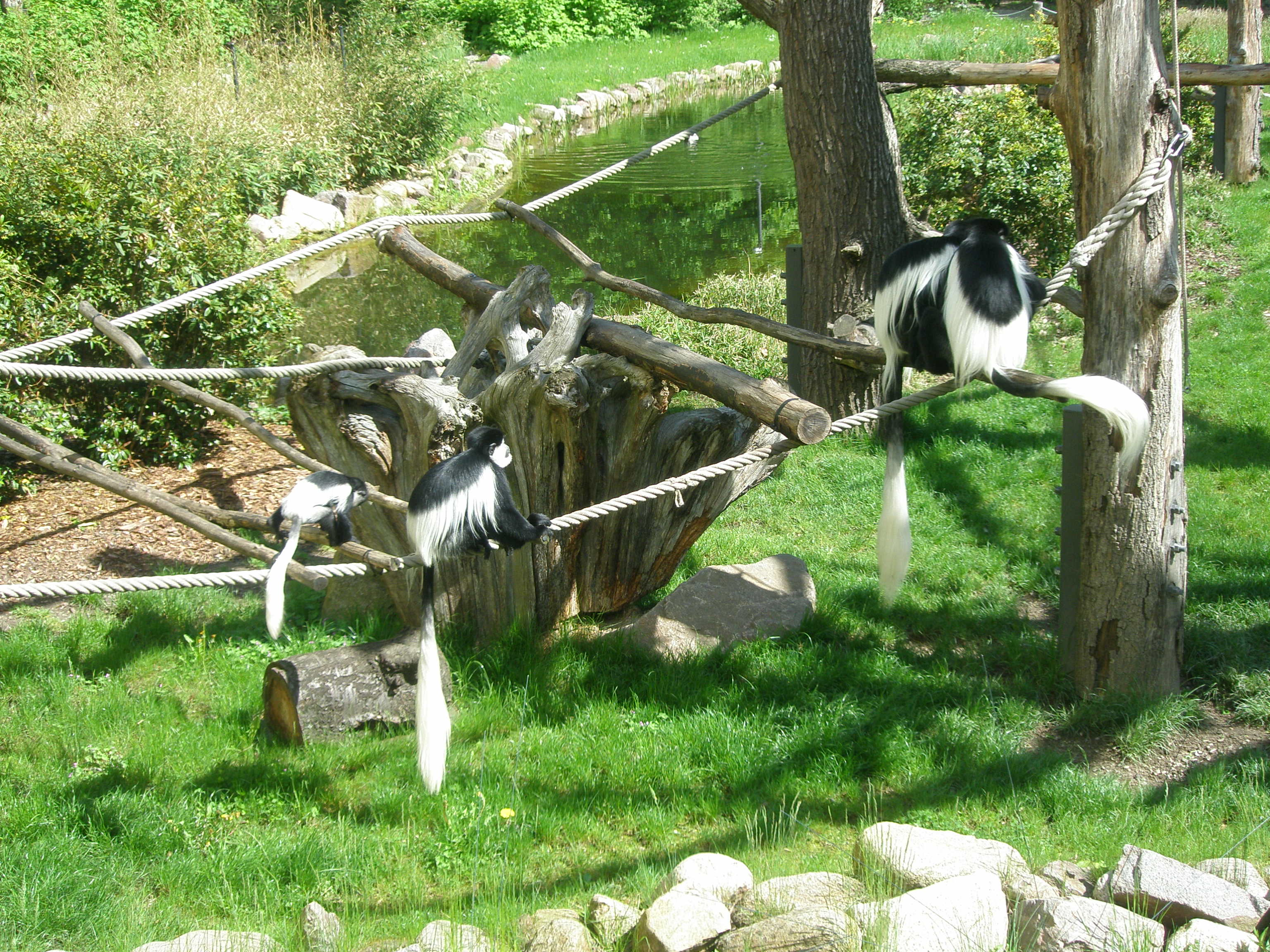 Bild 15 Zoologischer Garten in Dresden