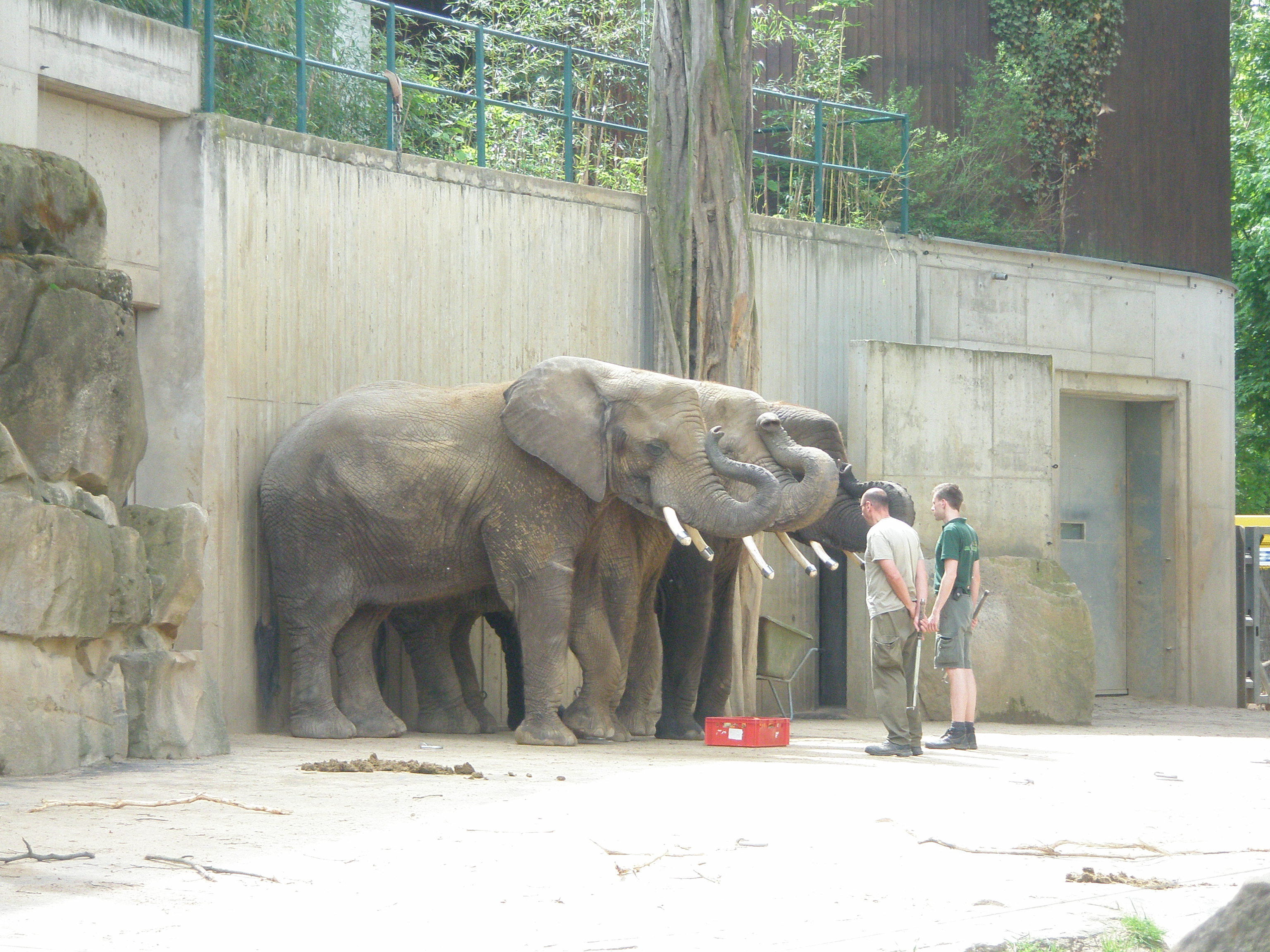 Bild 13 Zoologischer Garten in Dresden