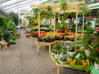 Bild 8 Blumen Bruno Mankopf An der Stadthalle und Am Markt in Hagen