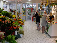 Bild 9 Blumen Bruno Mankopf An der Stadthalle und Am Markt in Hagen