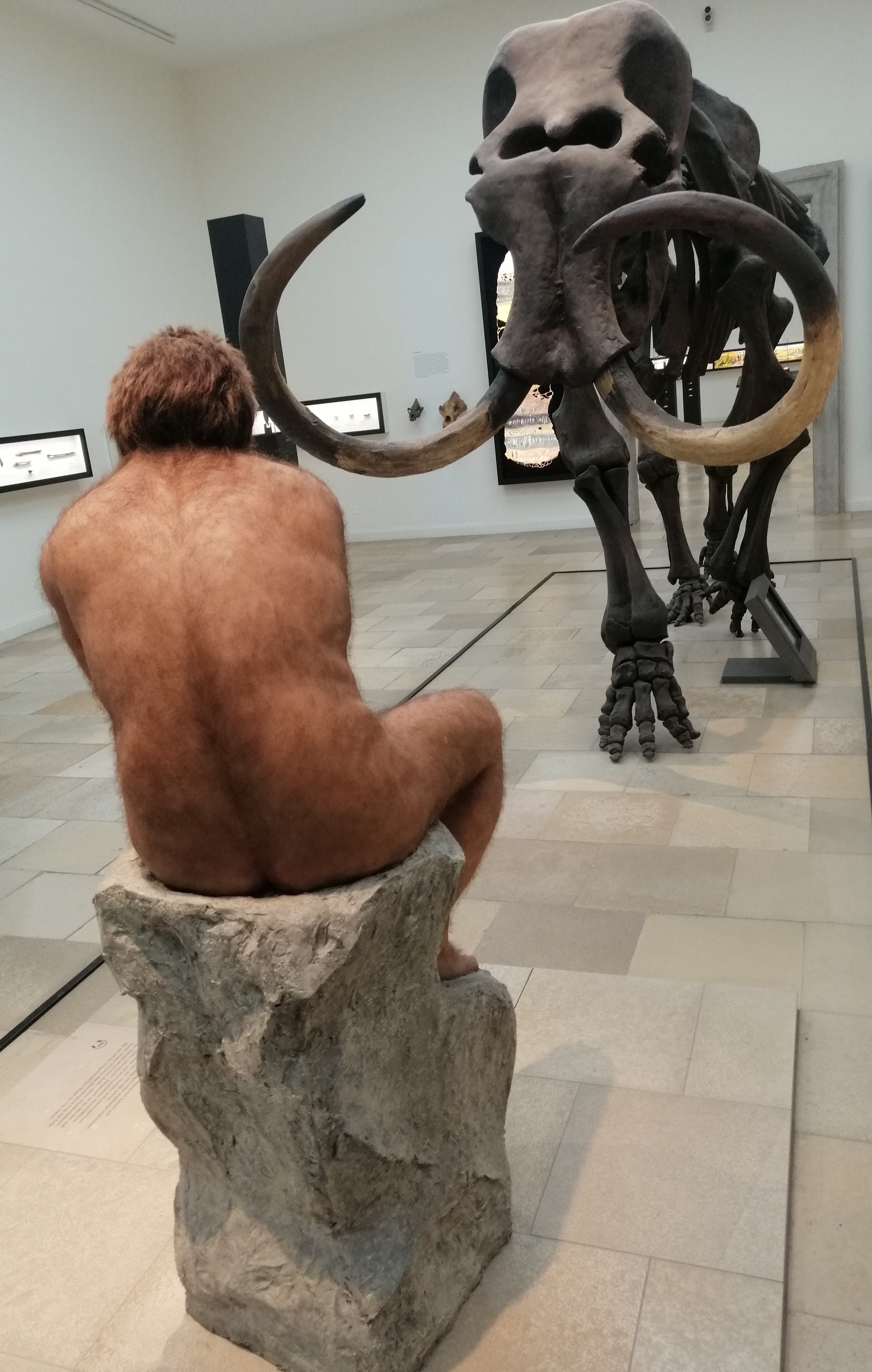 Ein Mammutskelett und eine Nachbildung eines Neandertaler