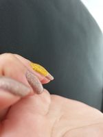 Bild zu Butterfly Nails im Wollhauscenter
