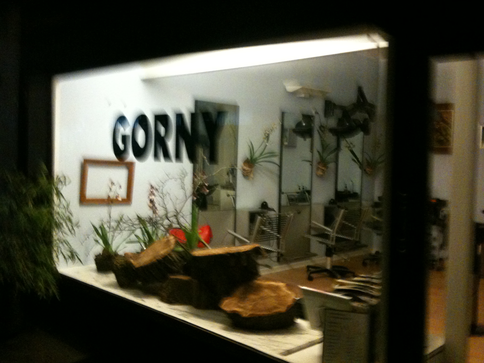 GORNY