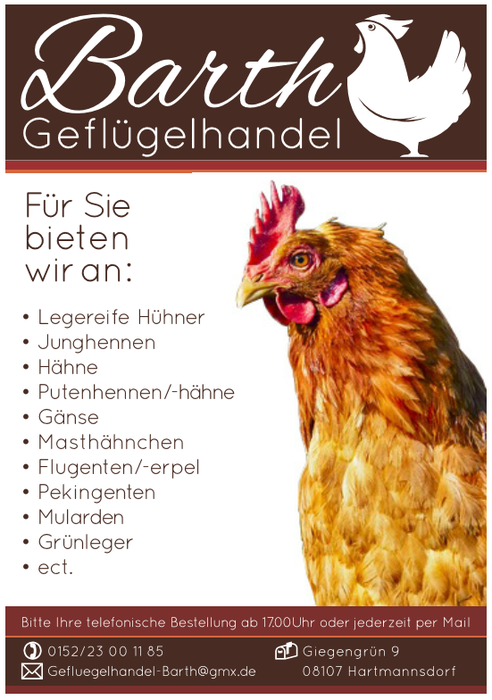 Angebot! Hühner, Wassergeflügel etc.