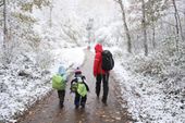 Nutzerbilder Waldameisen gGmbH Geschäftsstelle