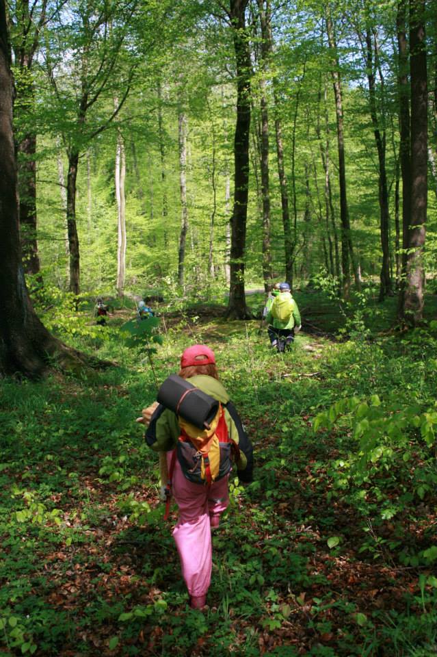 Bild 3 Waldkindergarten Die Waldameisen in Hamburg