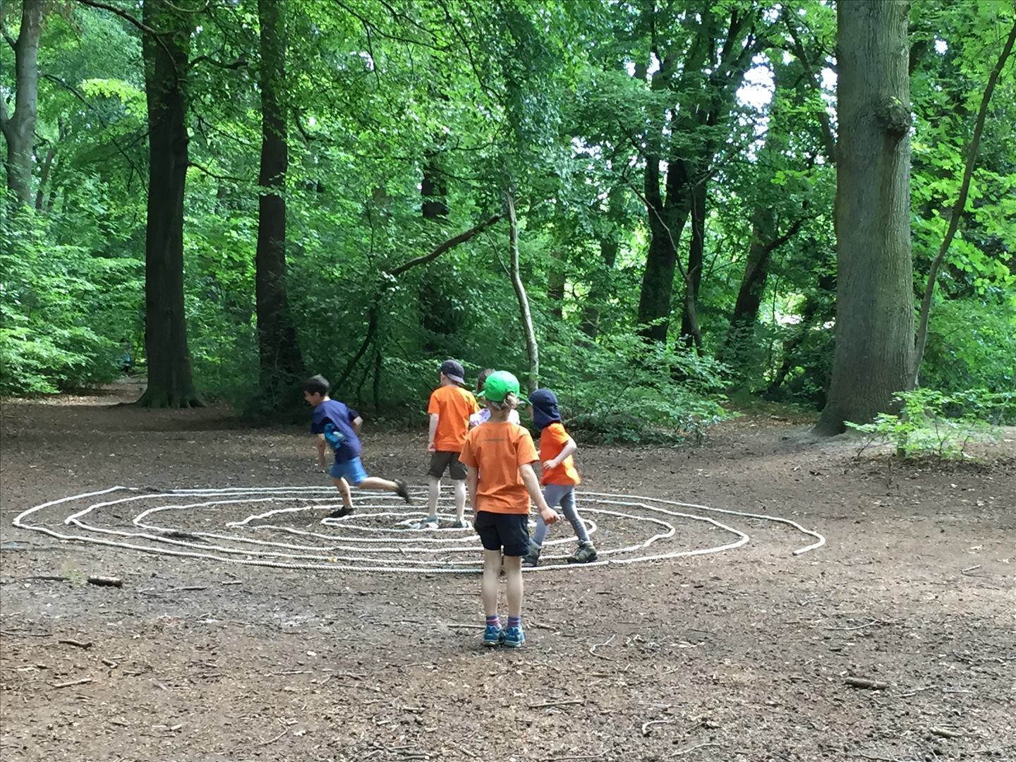 Bild 6 Waldkindergarten Die Waldameisen in Hamburg