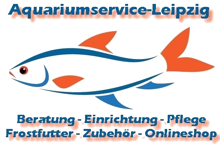 Bild 2 Aquariumservice-Leipzig in Neukieritzsch