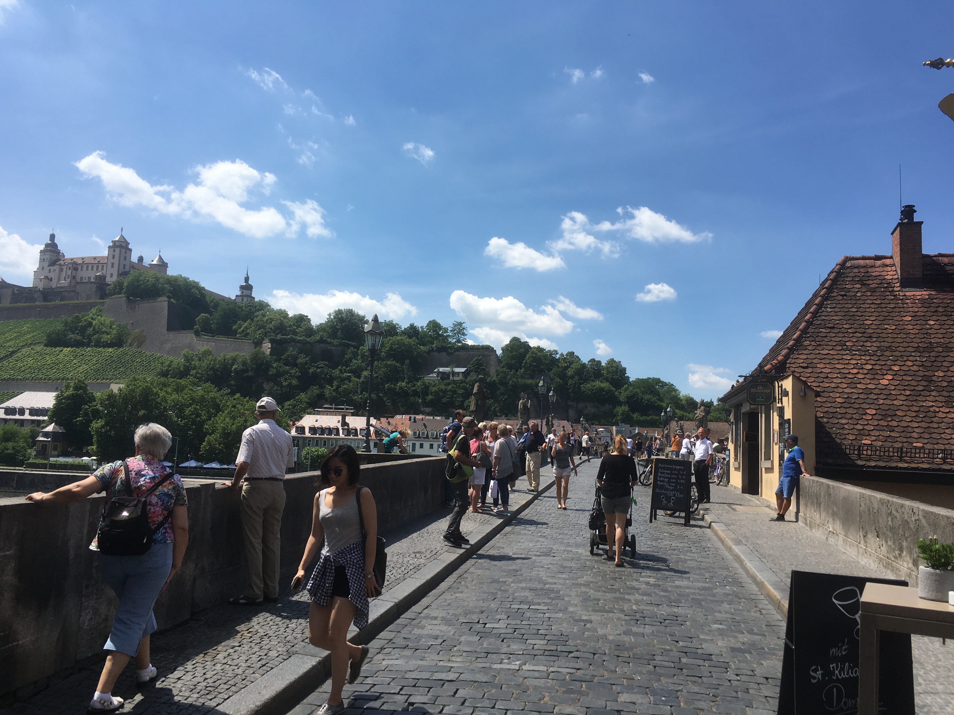 Diesen wunderschönen Blick hat man von der Alten Mainbrücke!