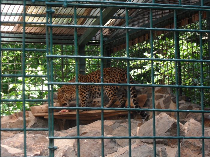 Nutzerbilder Tierpark Gera Waldzoo