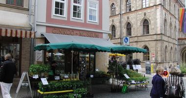 Ginkgomuseum Weimar in Weimar in Thüringen