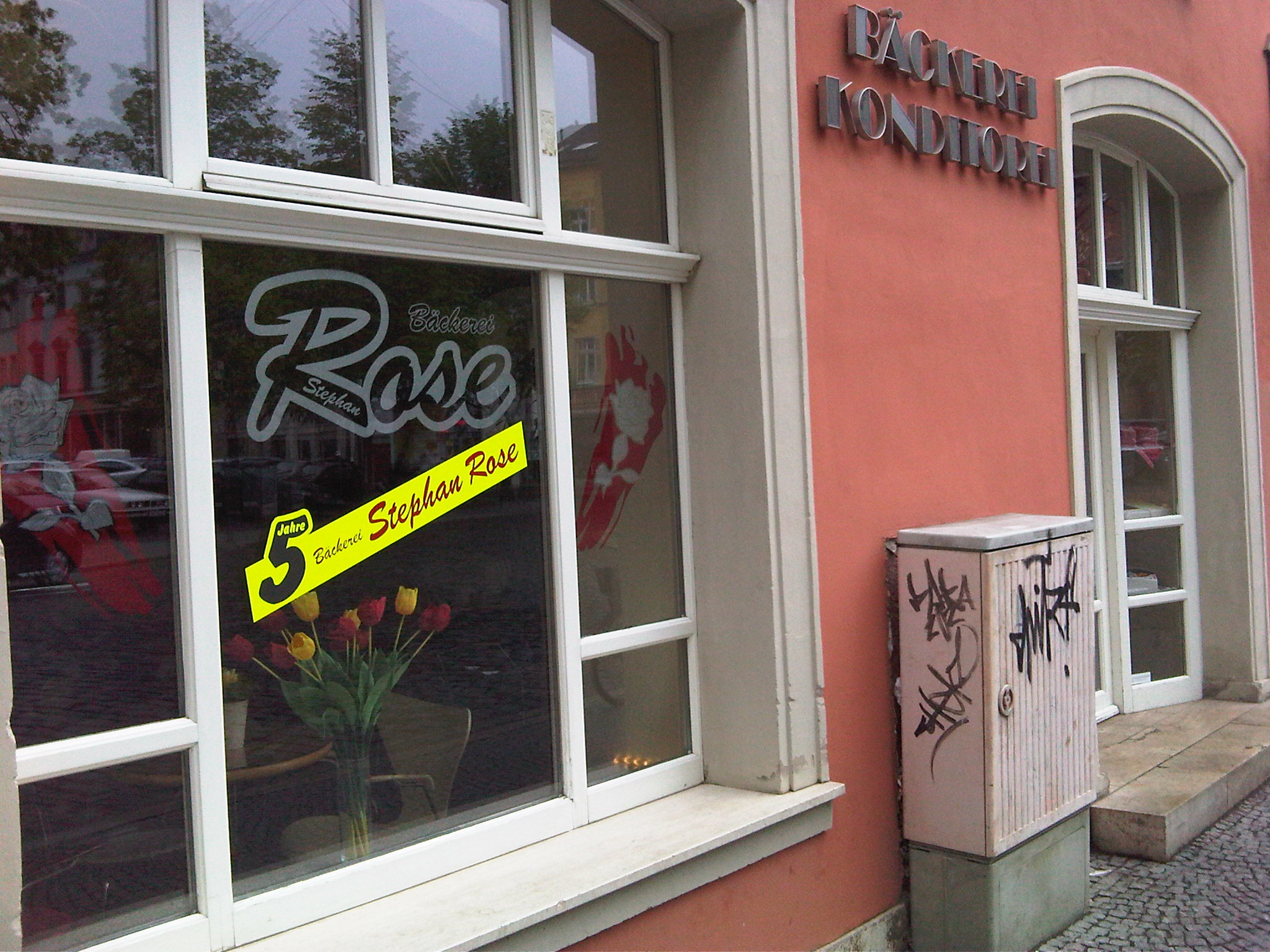 Bild 10 Rose in Weimar