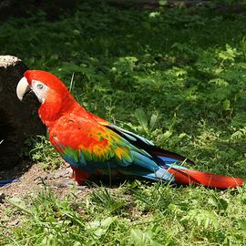 Allwetterzoo in Münster