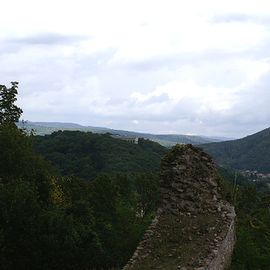 Burgruine Donaustauf in Donaustauf