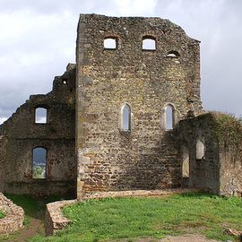 Burgruine Donaustauf in Donaustauf