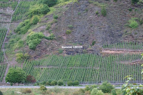 Schlägel Werner Ferienweingut