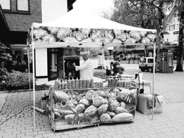 Bild zu Flohmarkt Baiersbronn