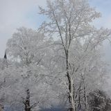 Burg Hohenzollern in Hechingen