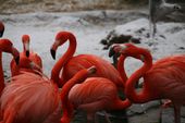 Nutzerbilder ZOO Duisburg AG