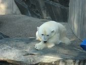 Nutzerbilder Zoologisch-Botanischer Garten Wilhelma