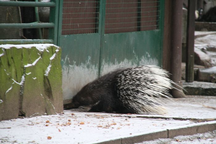 Nutzerbilder ZOO Duisburg AG