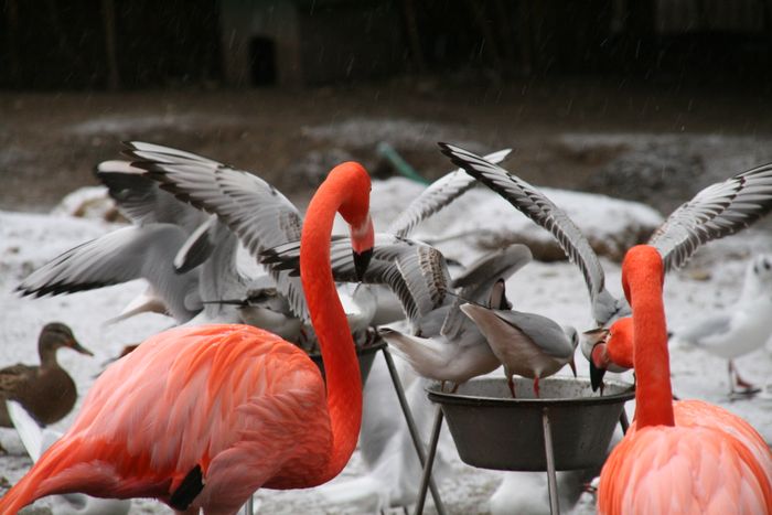 Nutzerbilder ZOO Duisburg AG