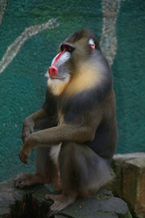 Nutzerbilder ZOO Duisburg AG