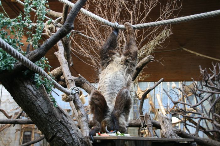 Nutzerbilder ZOO Duisburg AG