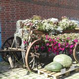 Spargel- und Erlebnishof Klaistow in Beelitz