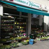Blumen & Pflanzen 108 in Berlin