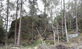 Nutzerbilder Nationalpark Harz - Der Brocken