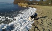 Nutzerbilder Freibad Müggelsee