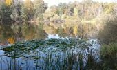 Nutzerbilder Lehrkabinett Teufelssee